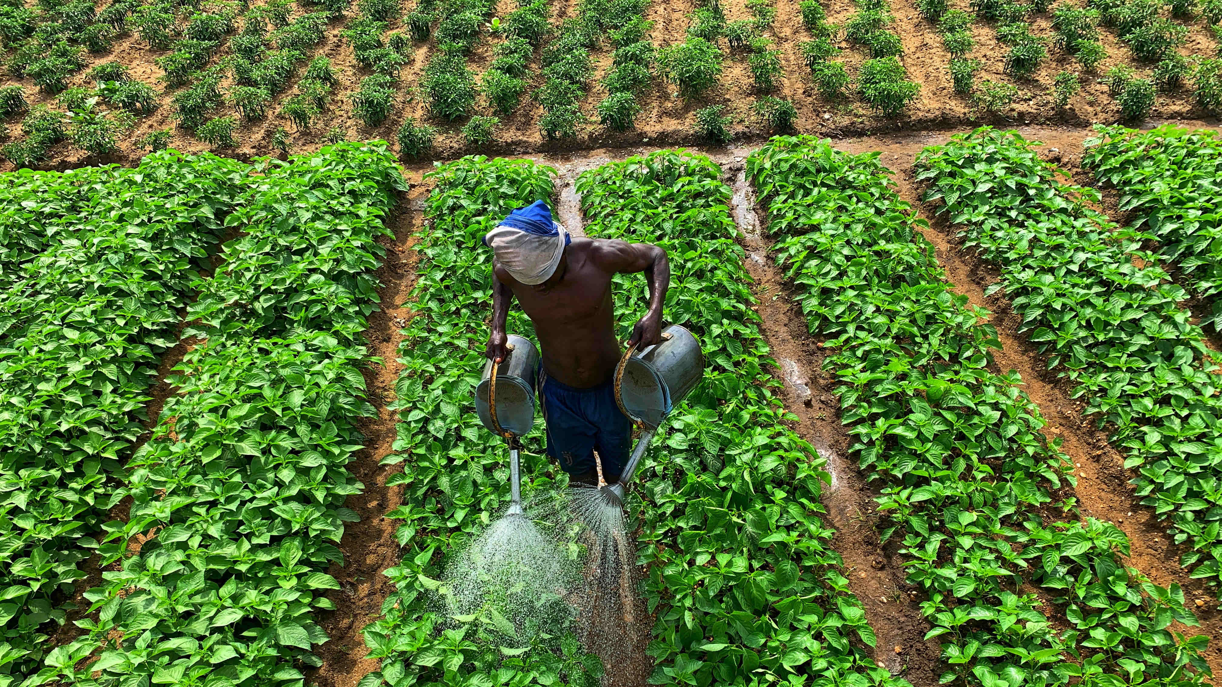 Nutrition, agriculture et jeunesse : la Guinée affiche ses ambitions au sommet de Paris